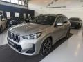 usato BMW X1