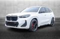 usato BMW X1