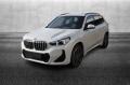 usato BMW X1