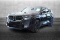 usato BMW XM