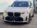 usato BMW X3