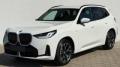 usato BMW X3