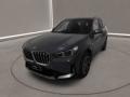 usato BMW X1