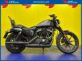usato HARLEY DAVIDSON 883 Iron