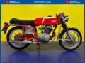 usato MV AGUSTA Altro
