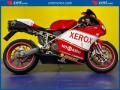 usato DUCATI 749