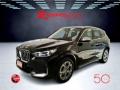 usato BMW X1