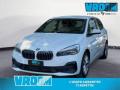 usato BMW 225